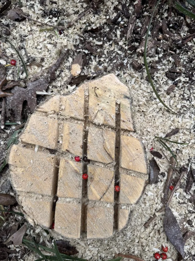 Top-rated lawn mowing service in Charlotte, NC - J & G Landscaping & Tree Service