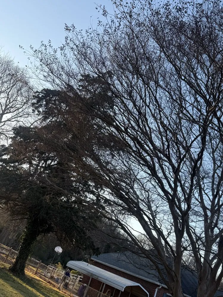 Trusted landscape installation in Charlotte, NC - J & G Landscaping & Tree Service