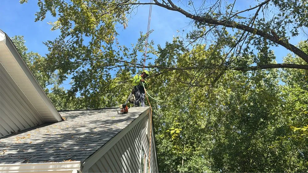 Reliable lawn care service with custom design in Charlotte, NC by J & G Landscaping & Tree Service