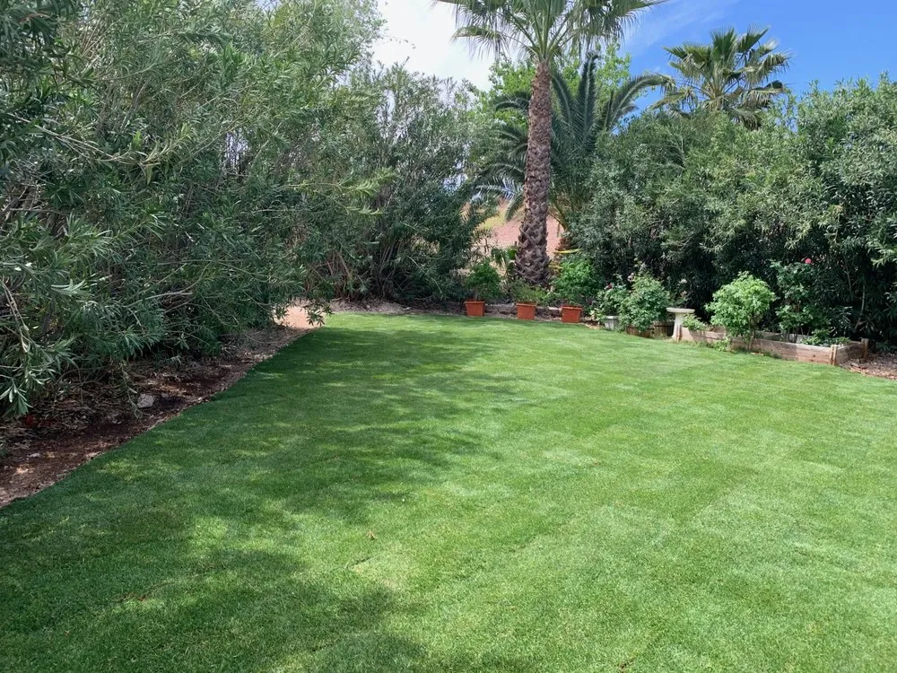 Top-rated landscape design for year-round maintenance in Las Vegas, NV by J & G Landscaping