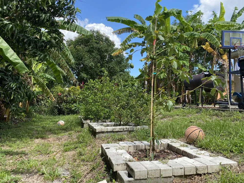 Expert outdoor landscaping experts serving Fort Myers, FL - J & G Lawn Service