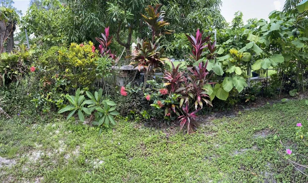 Trusted outdoor landscaping for outdoor upgrades in Fort Myers, FL by J & G Lawn Service