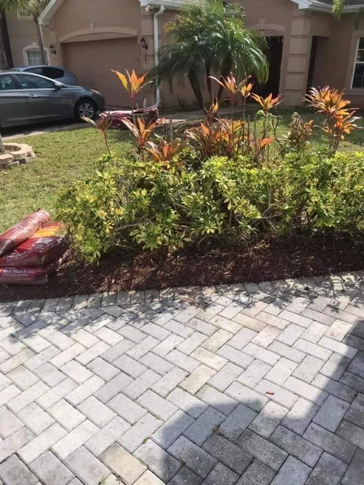 Professional yard cleanup service in Fort Myers, FL - J & G Lawn Service