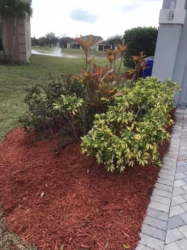 Top-rated garden landscaping for beautiful yards across Fort Myers, FL - J & G Lawn Service