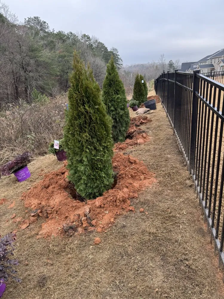 Top-rated yard maintenance for year-round maintenance across Huntersville, NC - J & G Lawn Systems