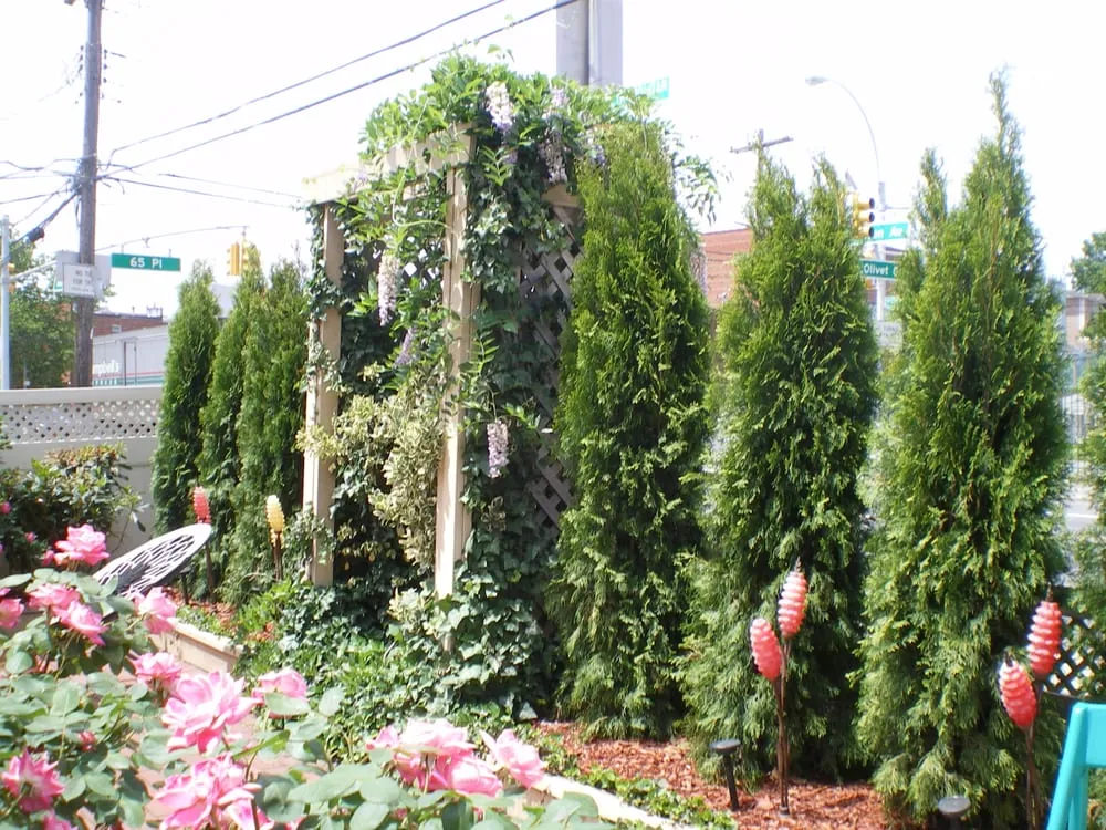 Trusted yard maintenance for residential properties in Ozone Park, NY by J & H Landscaping