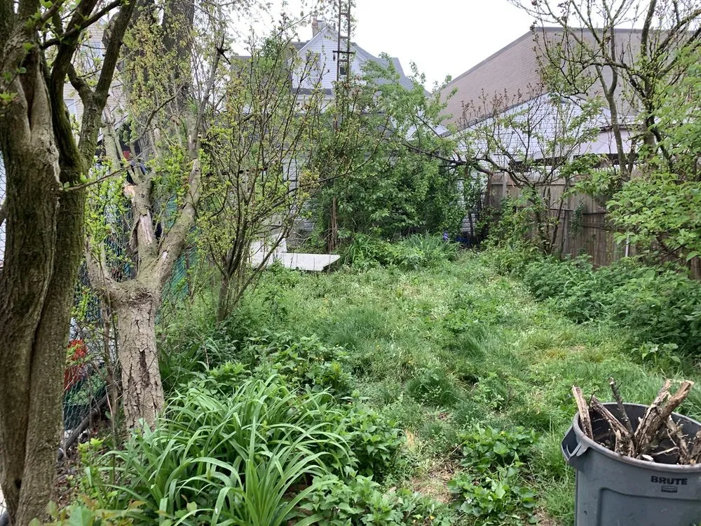 Local yard cleanup service experts serving Ozone Park, NY - J & H Landscaping