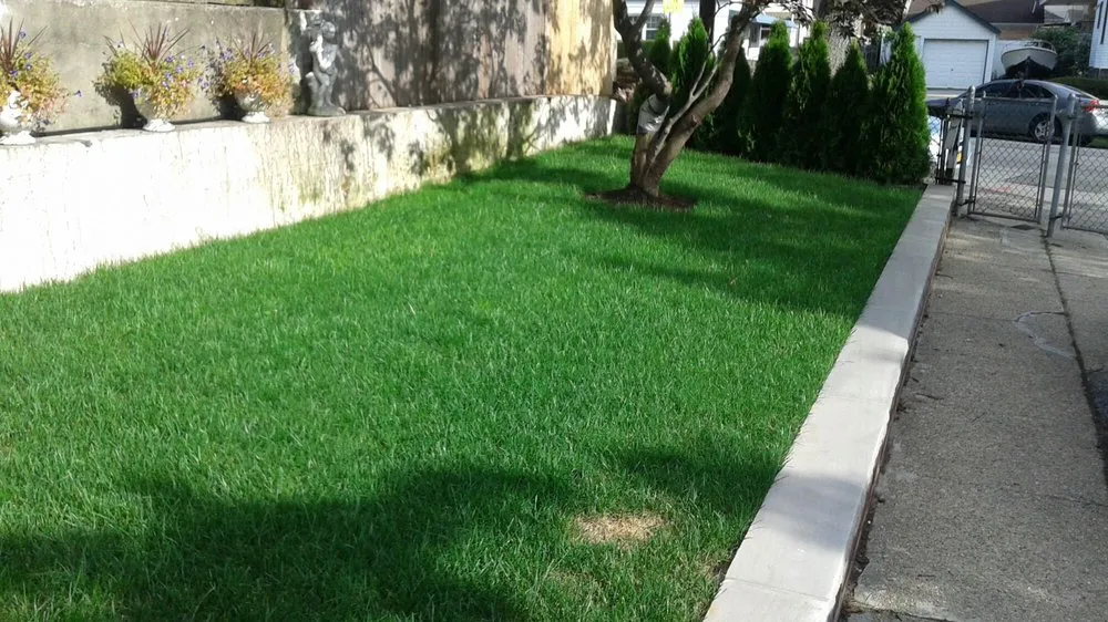 Affordable yard cleanup service in Ozone Park, NY by J & H Landscaping