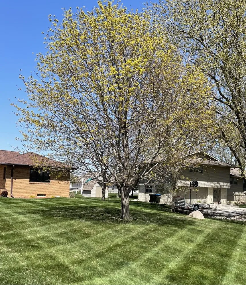 Professional lawn mowing service in Fort Dodge, IA - J & H Lawn Care