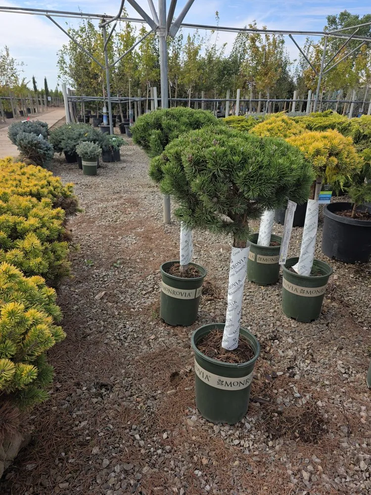 Local landscaping services for homes across Oklahoma City, OK - J & H Sprinkler Repair Landscaping