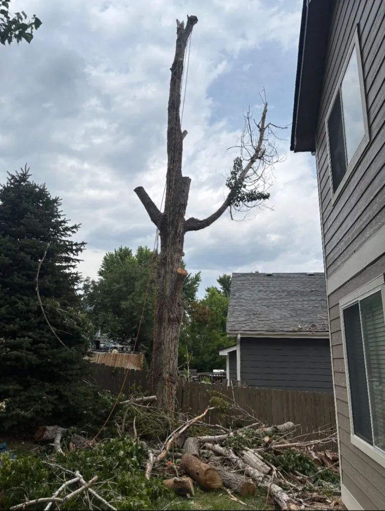 Trusted lawn mowing service experts serving Castle Rock, CO - J & H Tree Service