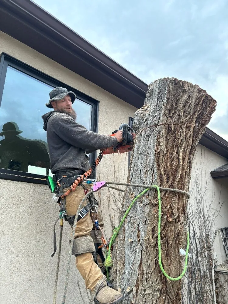 Affordable landscape installation experts serving Castle Rock, CO - J & H Tree Service