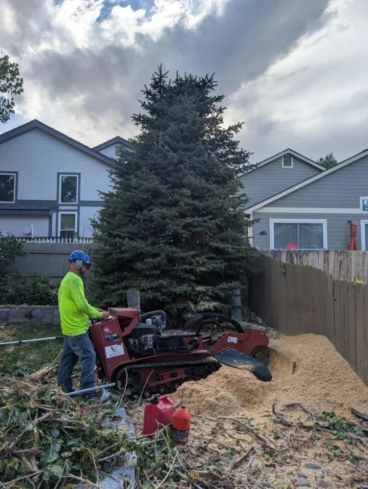 Local landscape installation for residential properties across Castle Rock, CO - J & H Tree Service