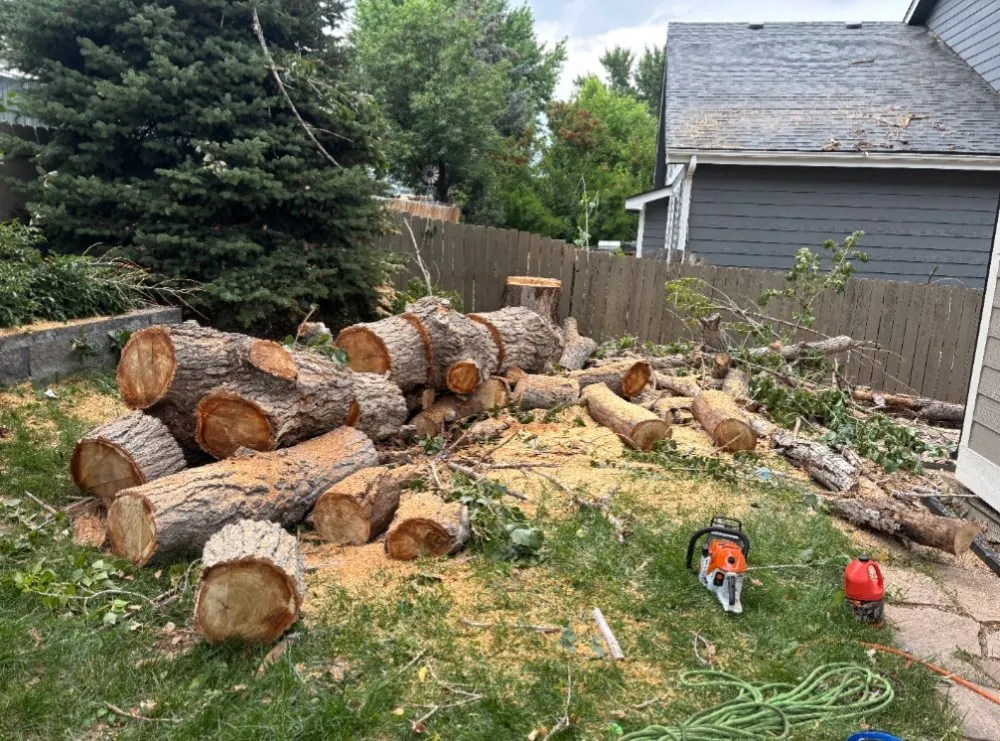 Affordable landscape installation experts serving Castle Rock, CO - J & H Tree Service