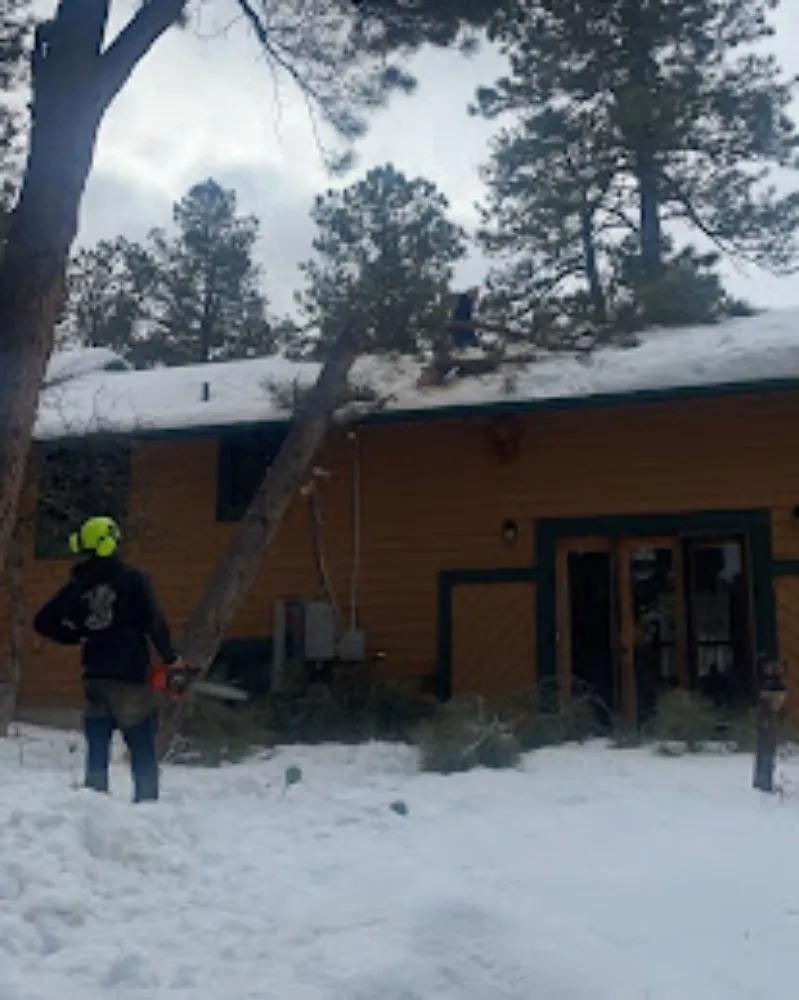 Affordable outdoor landscaping for residential properties in Castle Rock, CO by J & H Tree Service