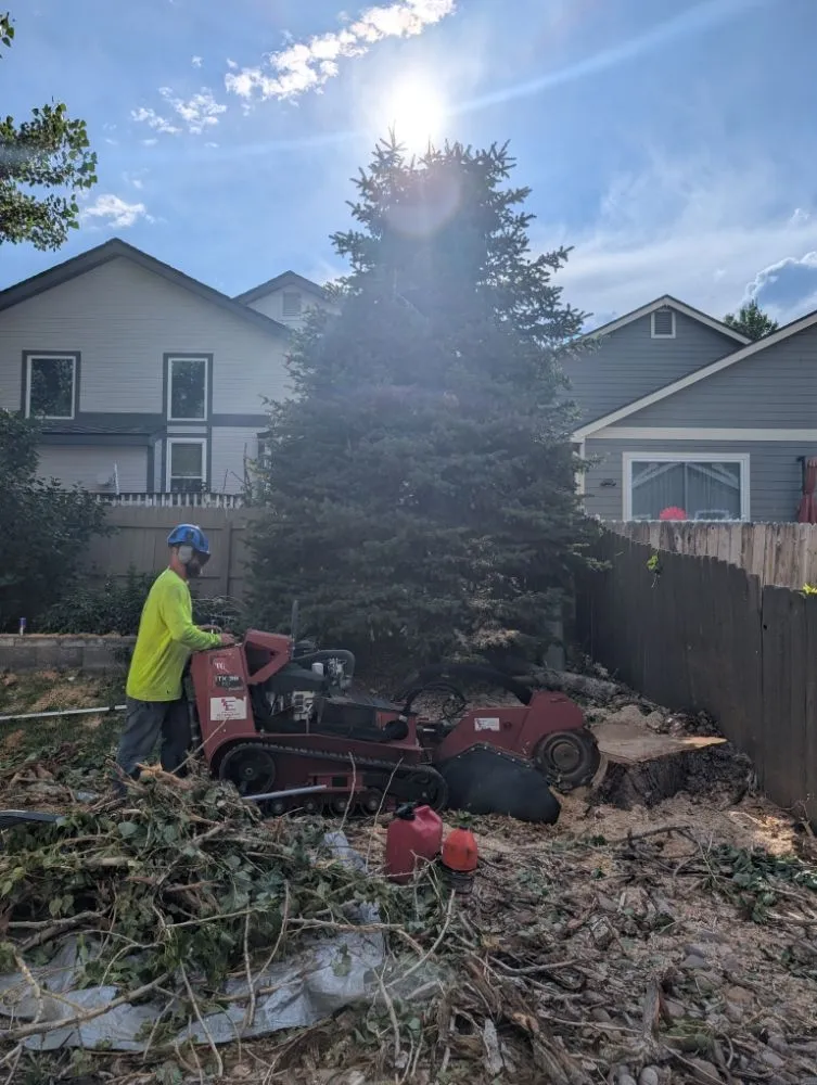 Affordable lawn mowing service experts serving Castle Rock, CO - J & H Tree Service