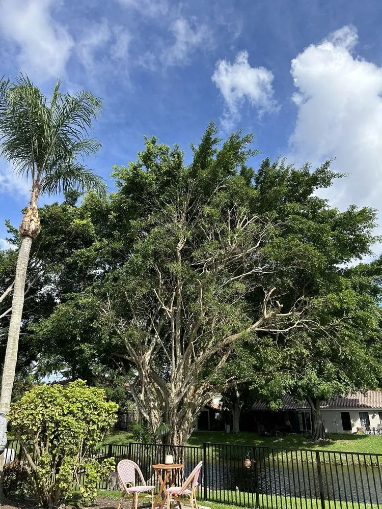 Reliable landscaping services in Loxahatchee, FL by J & H Tree Service