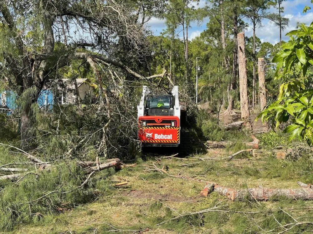 Custom lawn mowing service in Loxahatchee, FL by J & H Tree Service