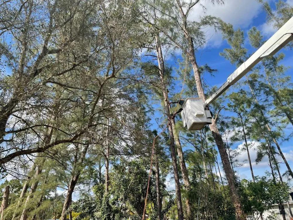 Reliable outdoor landscaping for beautiful yards across Loxahatchee, FL - J & H Tree Service