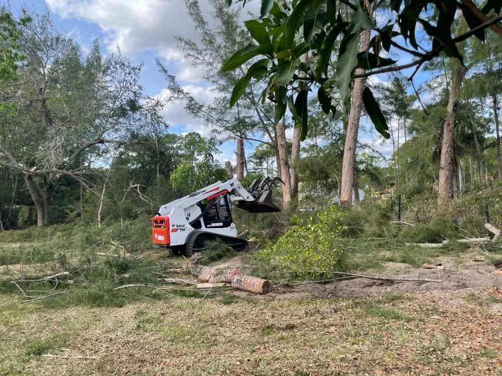 Professional residential landscaping in Loxahatchee, FL - J & H Tree Service