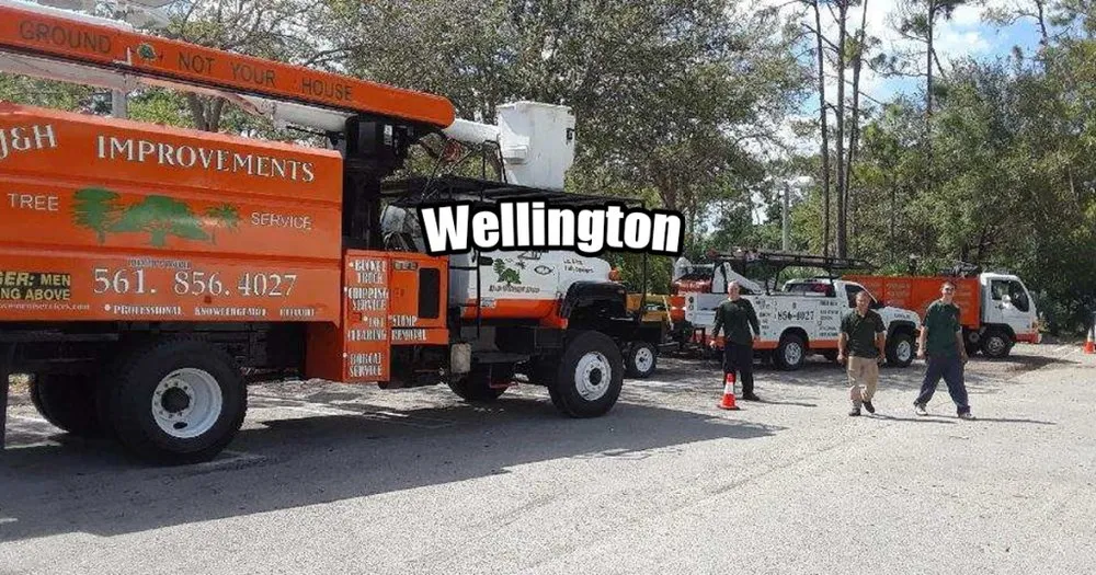 Local garden landscaping for beautiful yards in Loxahatchee, FL by J & H Tree Service