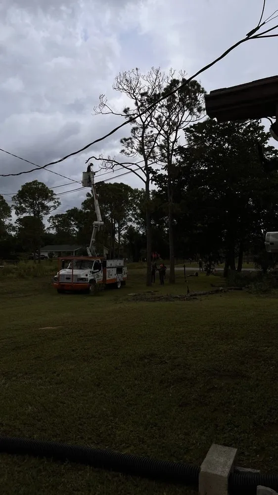 Local landscape installation in Loxahatchee, FL - J & H Tree Service