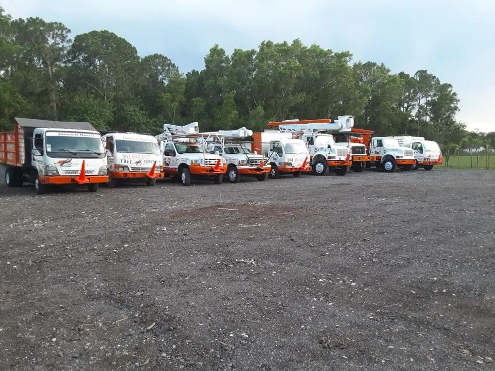 Professional landscape installation for homes across Loxahatchee, FL - J & H Tree Service