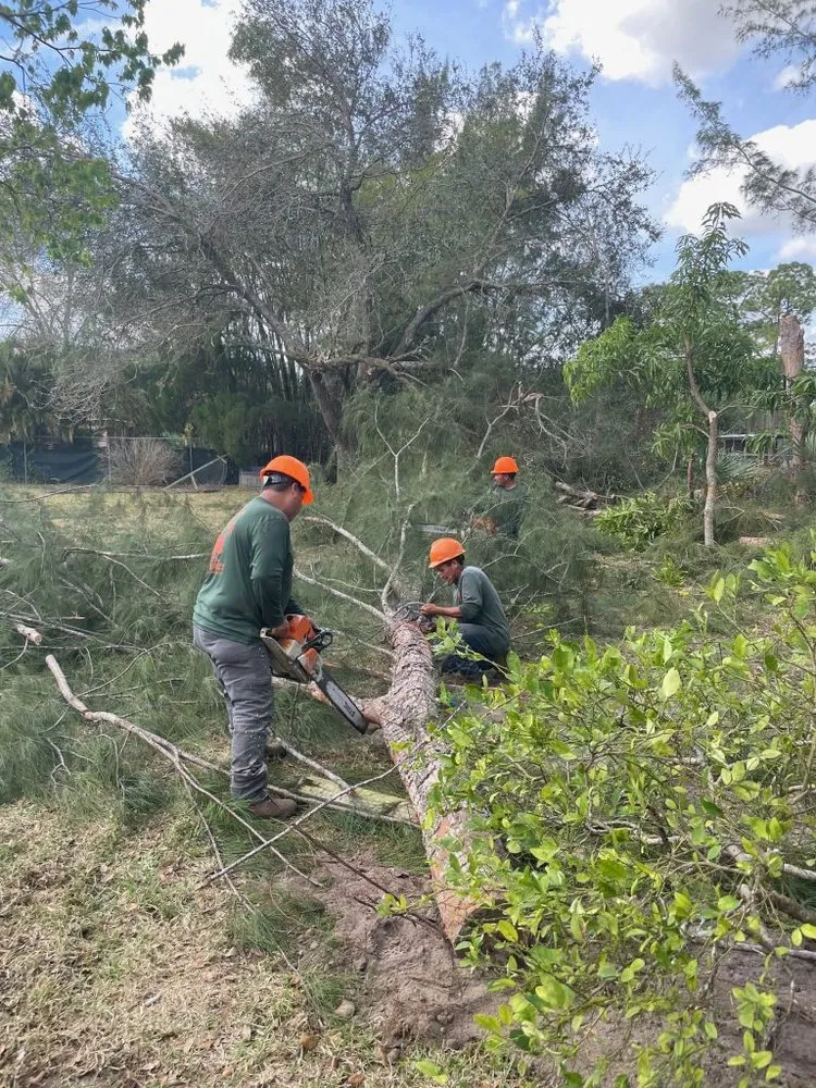 Affordable garden landscaping for beautiful yards across Loxahatchee, FL - J & H Tree Service
