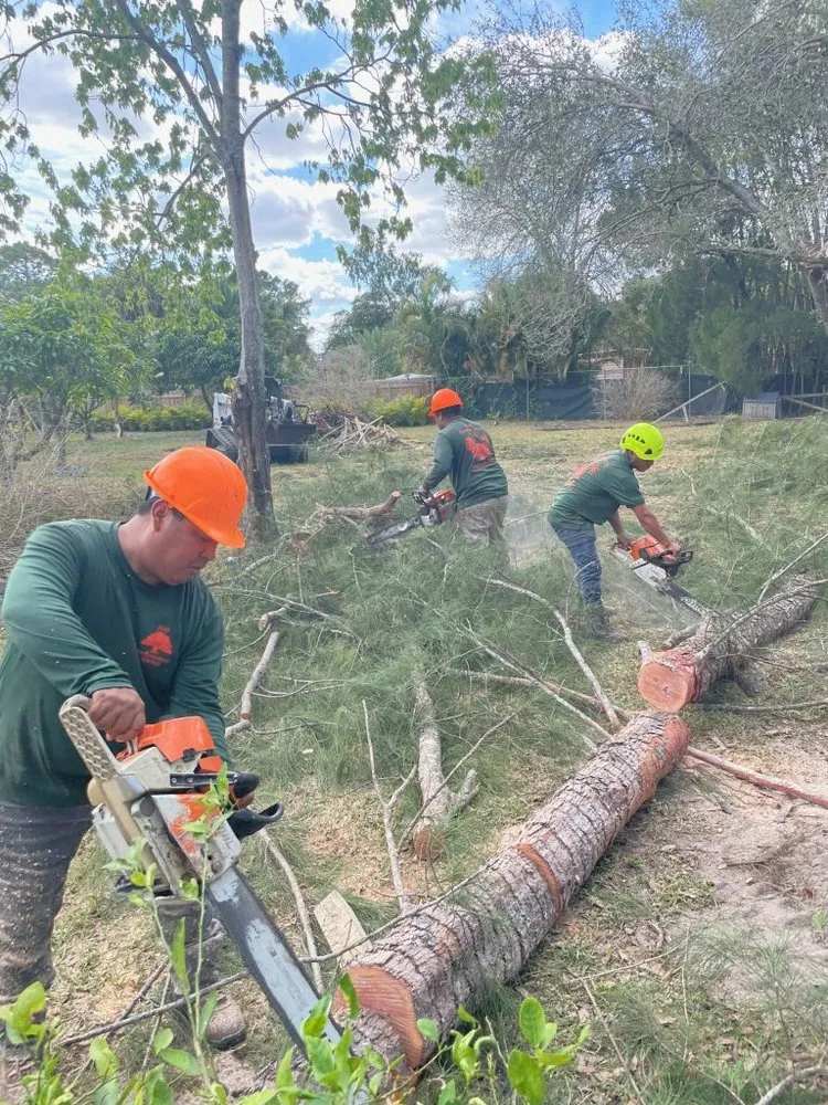 Reliable residential landscaping near you across Loxahatchee, FL - J & H Tree Service