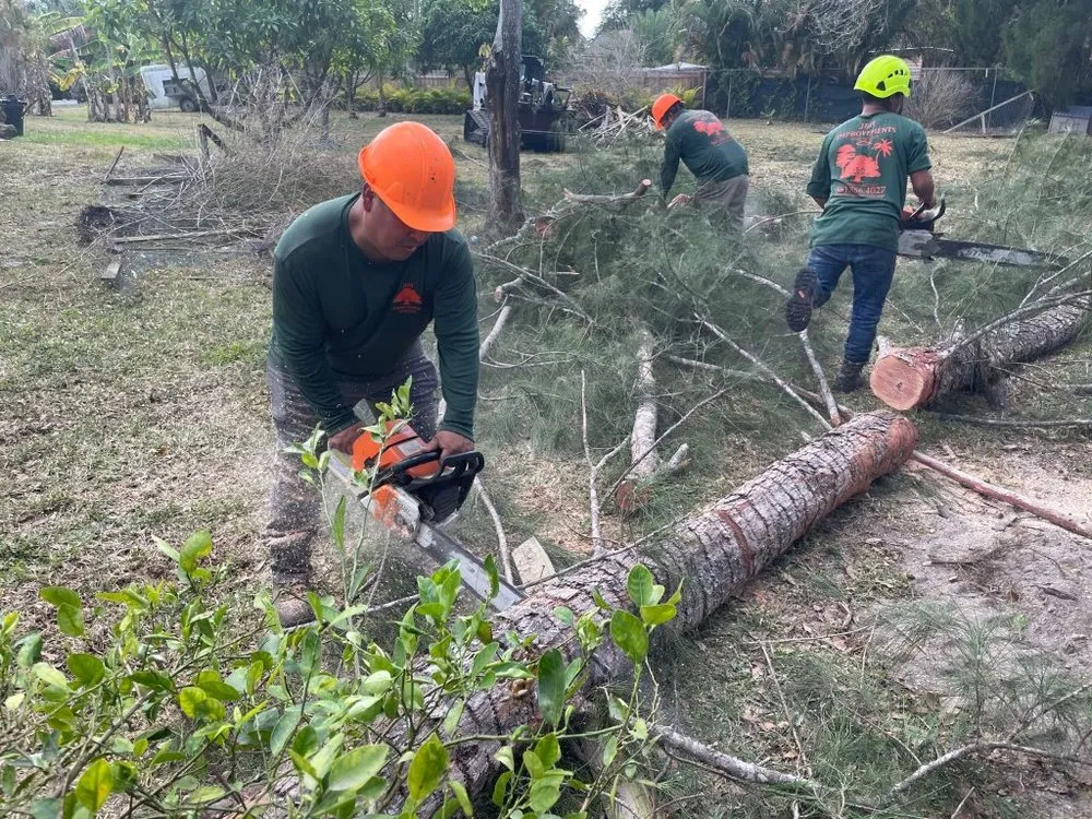Local yard maintenance near you across Loxahatchee, FL - J & H Tree Service