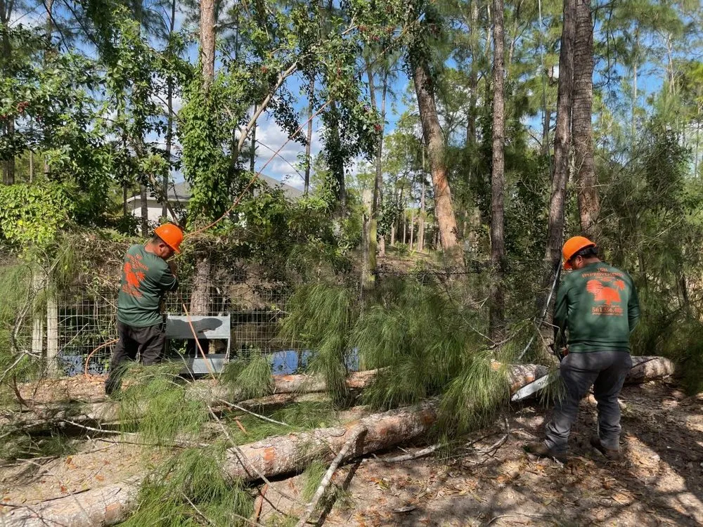 Reliable residential landscaping in Loxahatchee, FL by J & H Tree Service