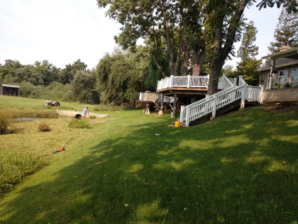 Affordable yard cleanup service in Fowler, CA - J & H Trees