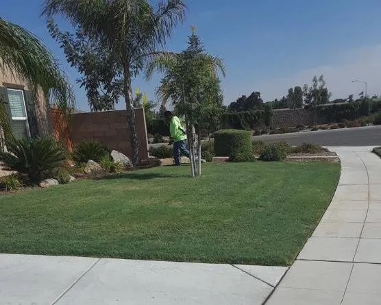 Custom landscaping services experts serving Fowler, CA - J & H Trees