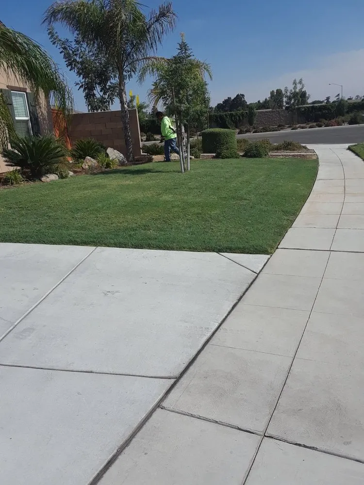 Trusted landscape installation experts serving Fowler, CA - J & H Trees