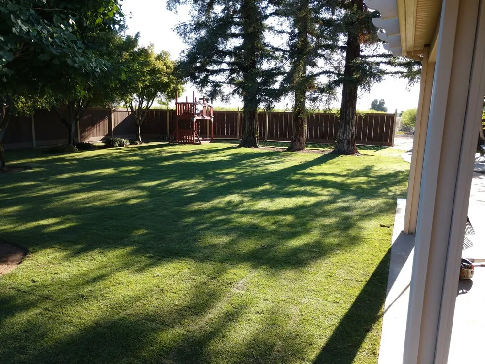 Top-rated landscape installation in Fowler, CA by J & H Trees
