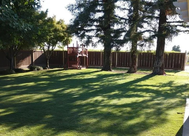 Trusted lawn care service in Fowler, CA - J & H Trees
