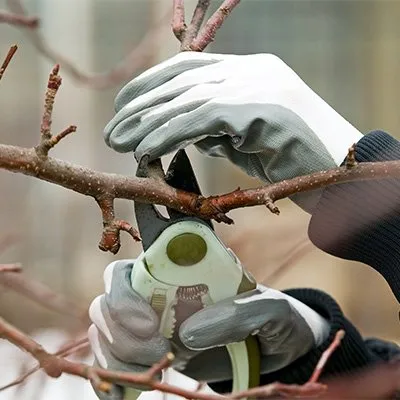 Trusted garden landscaping for beautiful yards across Faribault, MN - J & J All Seasons Lawn Care