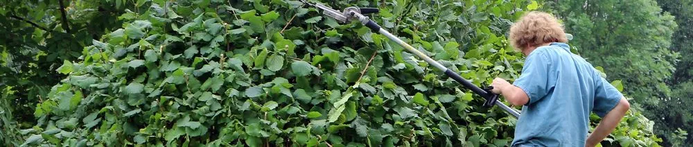 Top-rated yard maintenance in Faribault, MN - J & J All Seasons Lawn Care