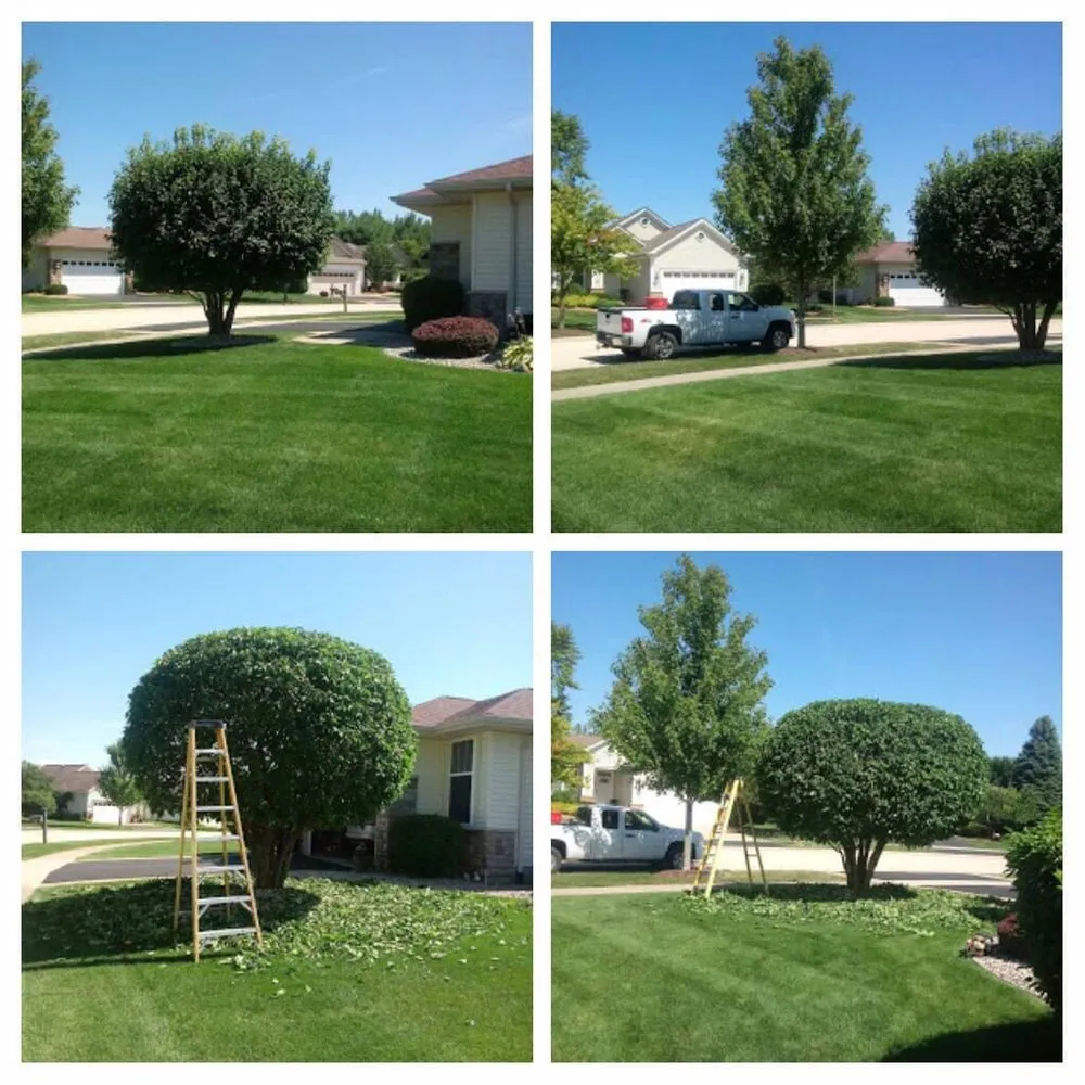 Top-rated yard cleanup service in Harvard, IL by J & J Escobar Landscaping