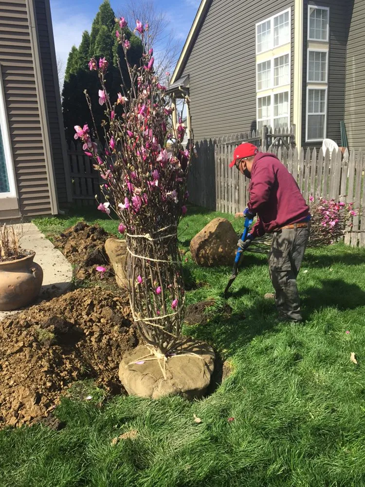 Professional lawn care service experts serving Harvard, IL - J & J Escobar Landscaping