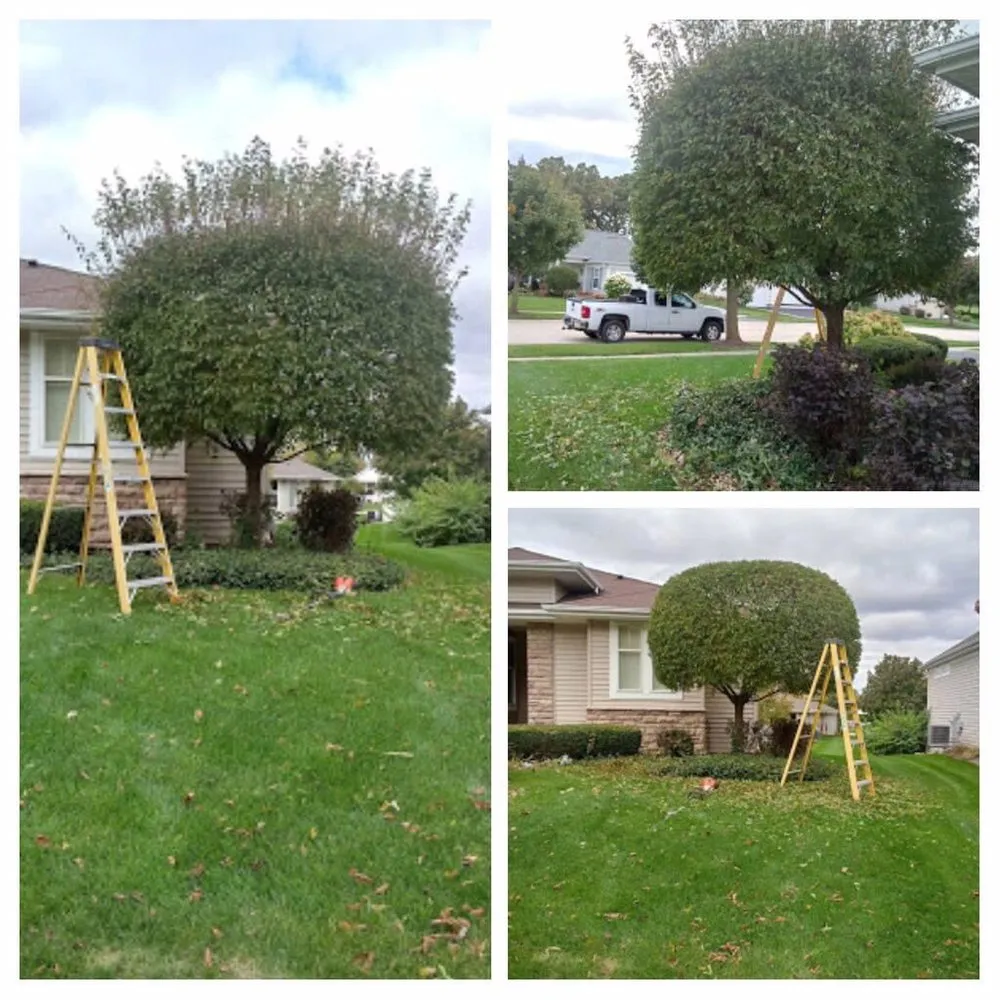 Reliable landscape design experts serving Harvard, IL - J & J Escobar Landscaping