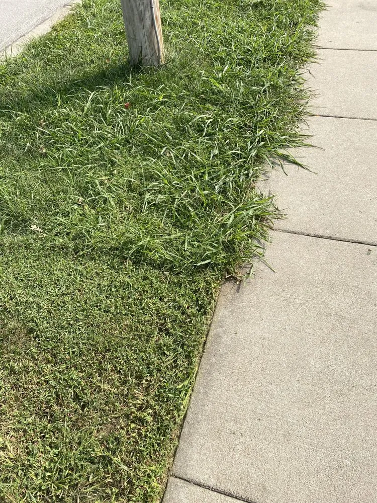 Top-rated residential landscaping experts serving Bentleyville, PA - J & J Heating & Air