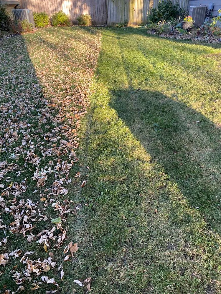 Reliable yard cleanup service in Bentleyville, PA - J & J Heating & Air