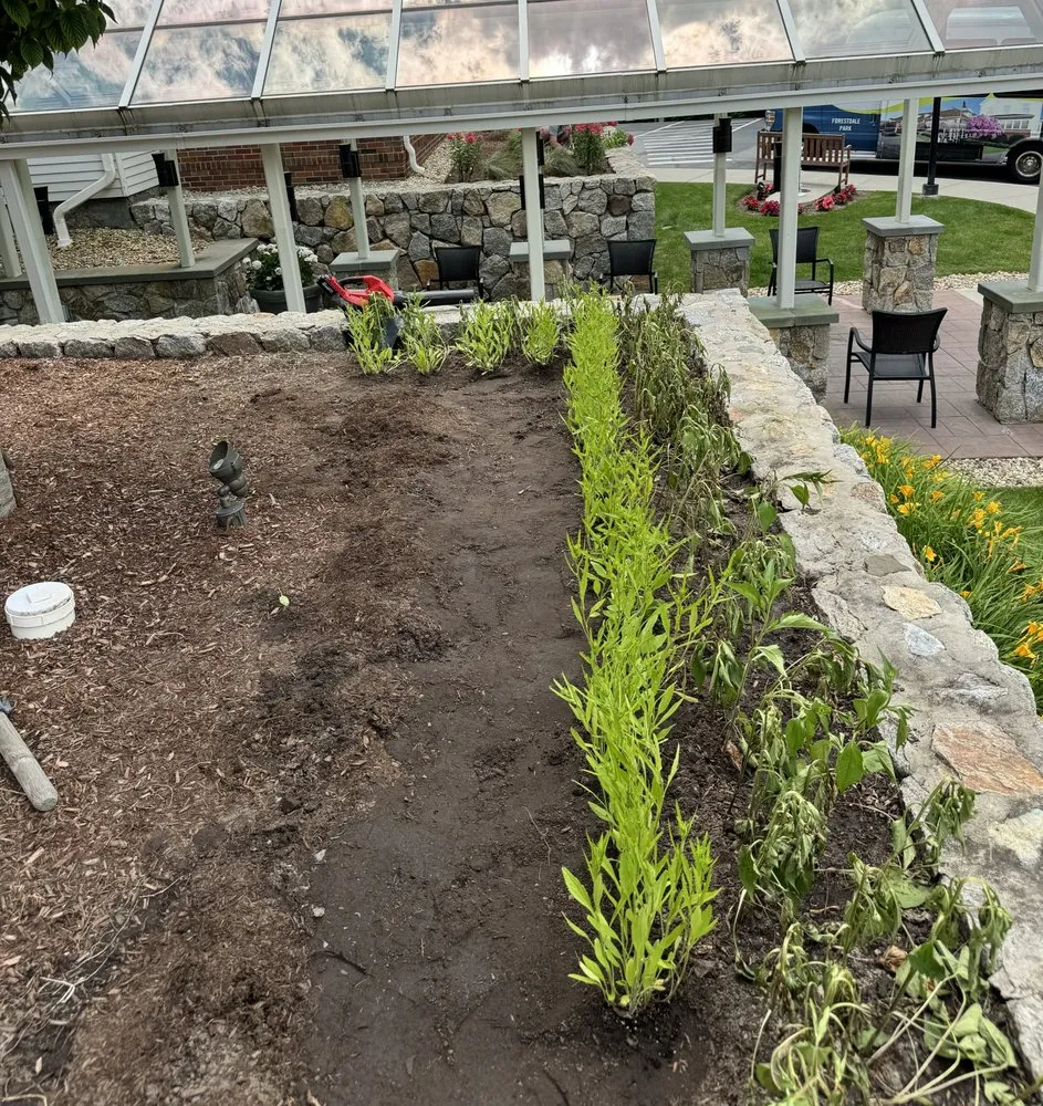 Affordable yard cleanup service experts serving Boston, MA - J & J Home Improvement