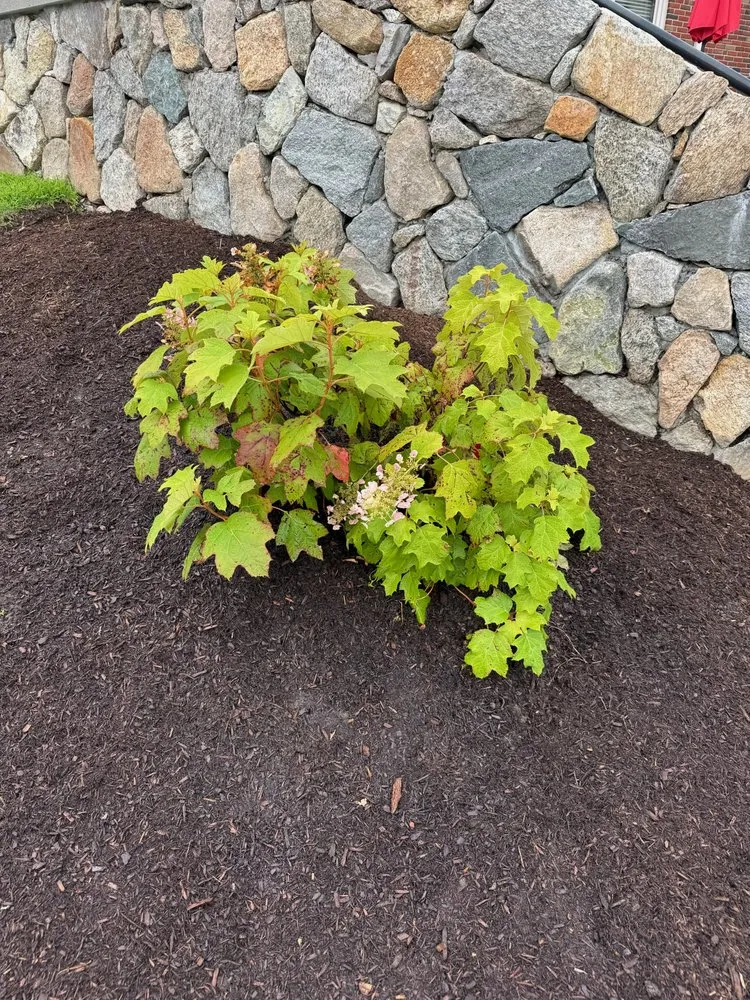 Reliable yard maintenance in Boston, MA by J & J Home Improvement