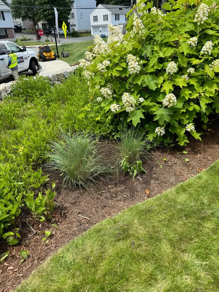 Trusted yard maintenance experts serving Boston, MA - J & J Home Improvement