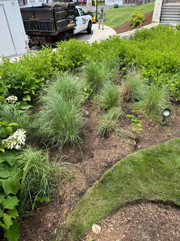 Top-rated lawn mowing service in Boston, MA by J & J Home Improvement