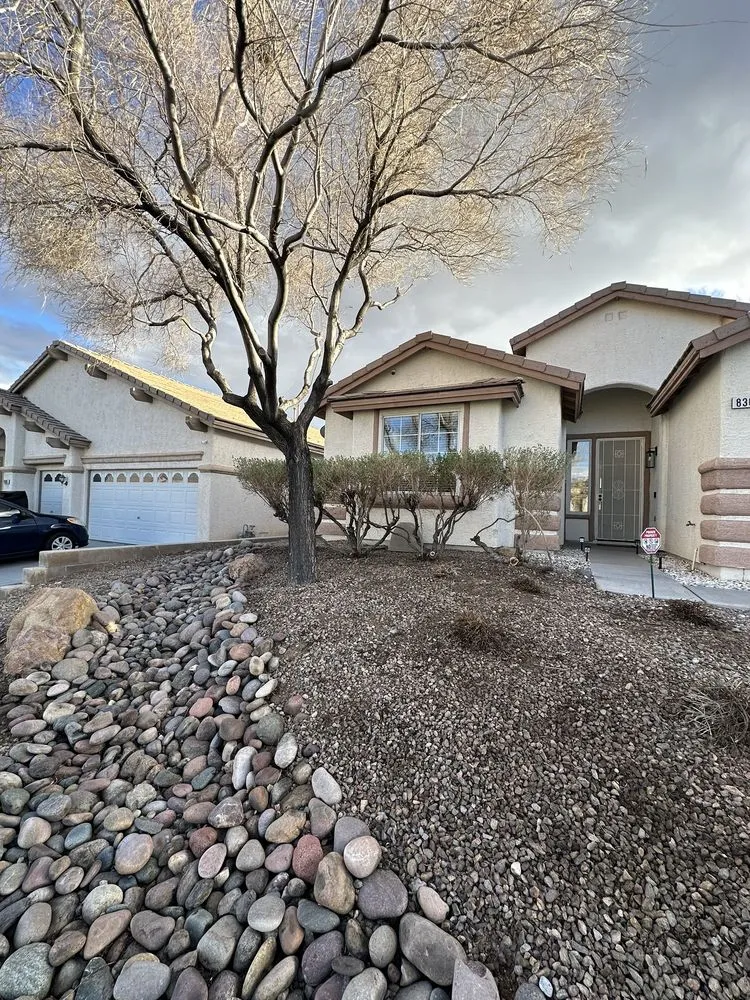 Custom yard maintenance for year-round maintenance across Las Vegas, NV - J & J Landscape