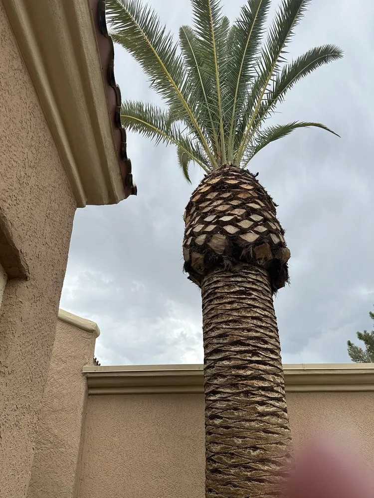 Trusted landscape design near you across Las Vegas, NV - J & J Landscape