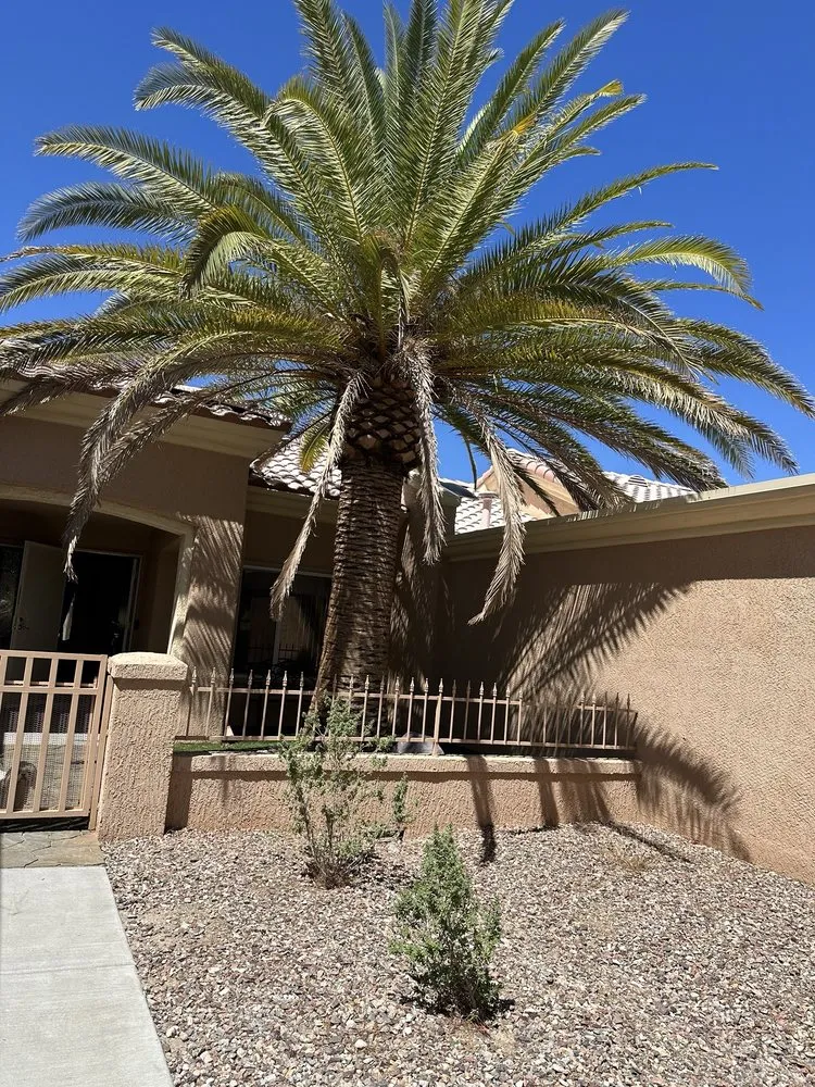 Reliable lawn care service for year-round maintenance in Las Vegas, NV by J & J Landscape